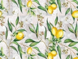 ANNA ELEGANCE LIMONERO A-140 R-20M.
Referencia: 5500210447 (Disponible)