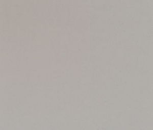 ADH.GRIS BRILLO A-45 R-15M.
Referencia: 3800101310 (Disponible)