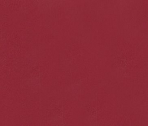 ADH.GRANA BRILLO A-45 R-15M.
Referencia: 3800101330 (Disponible)