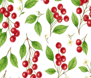 ANNA STAR CEREZAS-3  A-140 R-20M.
Referencia: 5500000760 (No disponible)