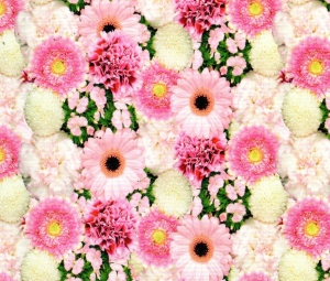 ADH.FLORES ROSA A-45 R-15M.@@@
Referencia: 3800156225 (Disponible)